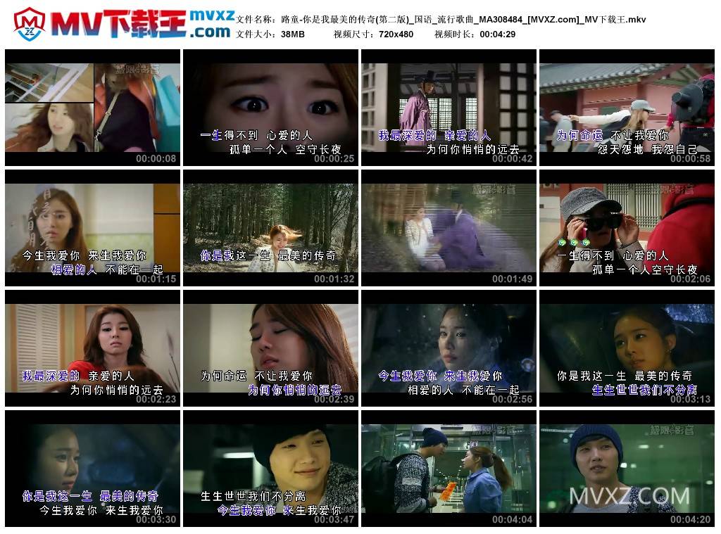 路童-你是我最美的传奇(第二版)_国语_流行歌曲_MA308484